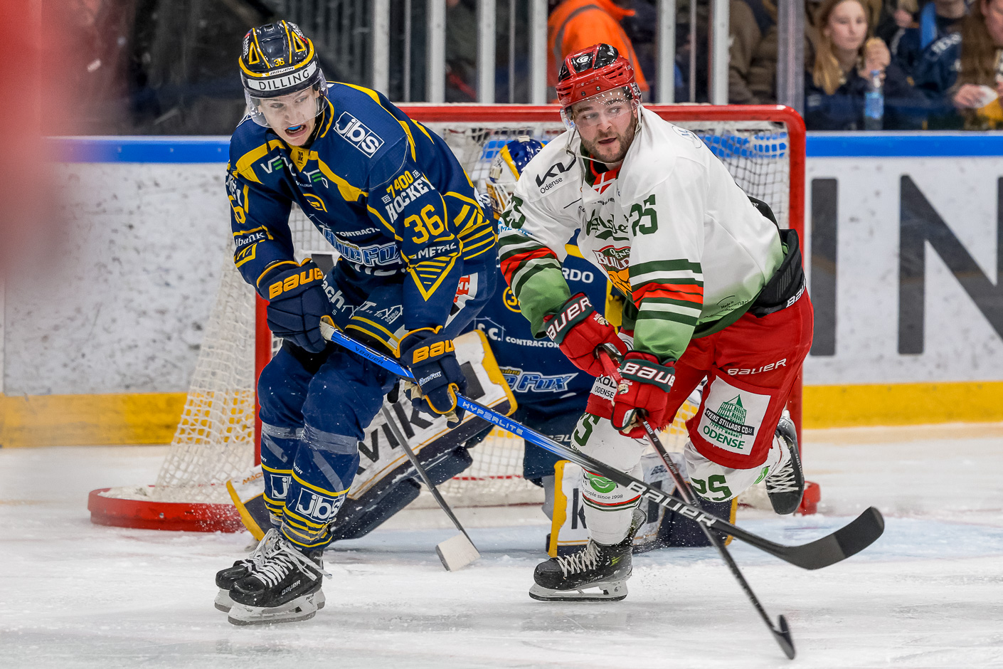 Herning Blue Fox - Blue Fox skal tilbage på sporet (1)