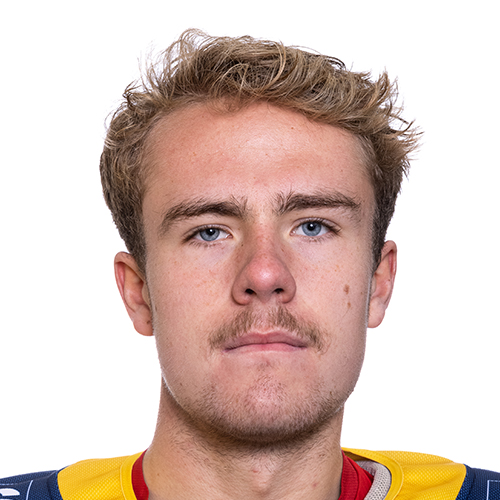 Herning Blue Fox Interview Frederik Brændgaard (1)