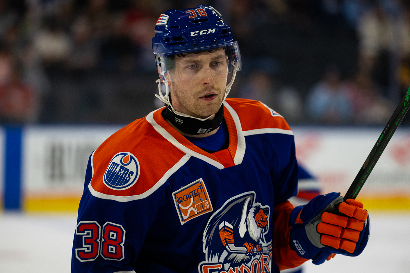 Foto: Bakersfield Condors